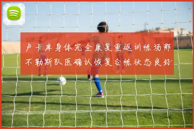 卢卡库身体完全康复重返训练场那不勒斯队医确认恢复合练状态良好
